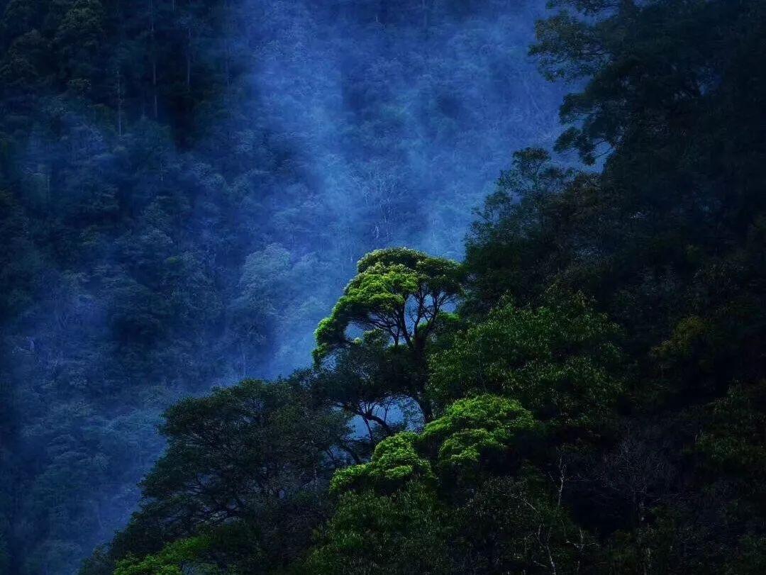 中考结束,没考上重点高中,选择普通高中还是3+2大专?——深度交流与分享的红迪网平台